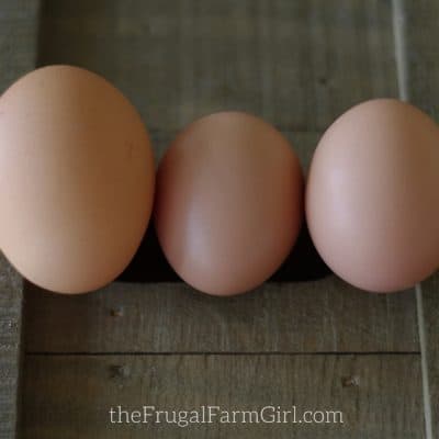 How the Weather Affects the Look of Your Eggs
