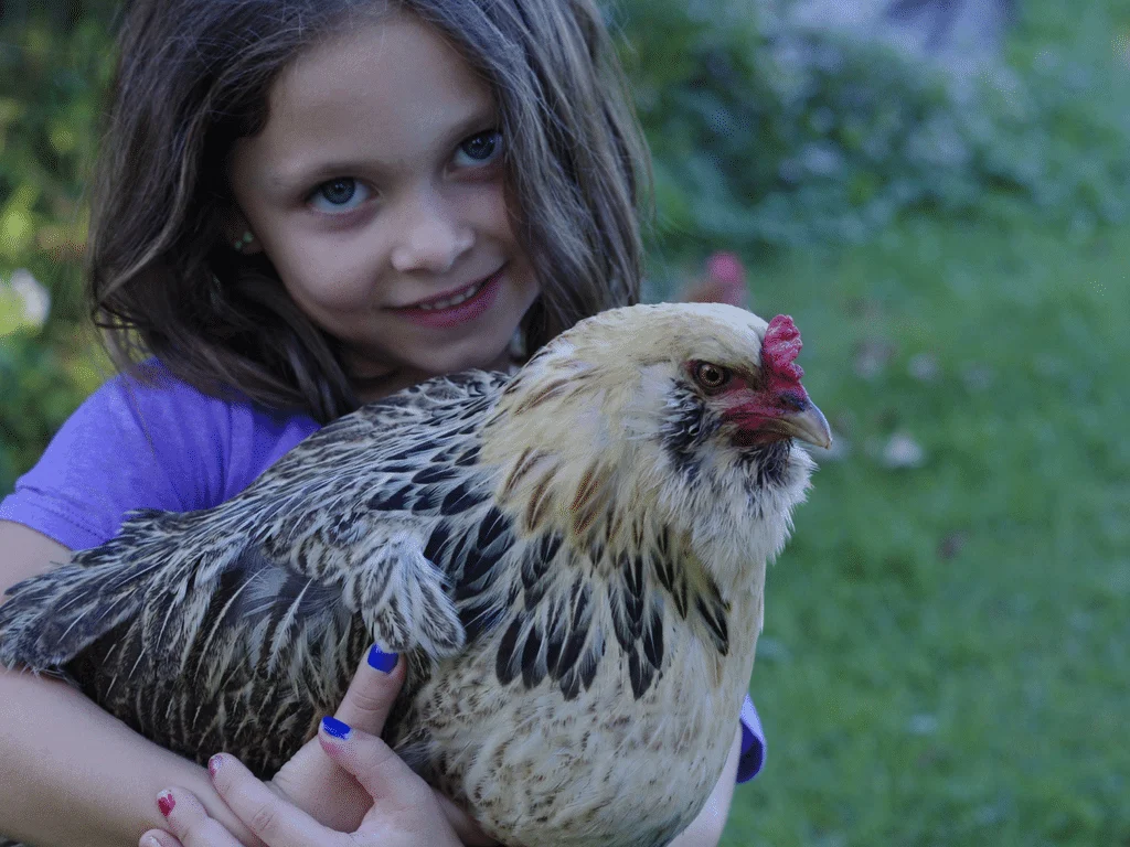 15 Inspiring Reasons Why Your Kids Should Raise Chickens