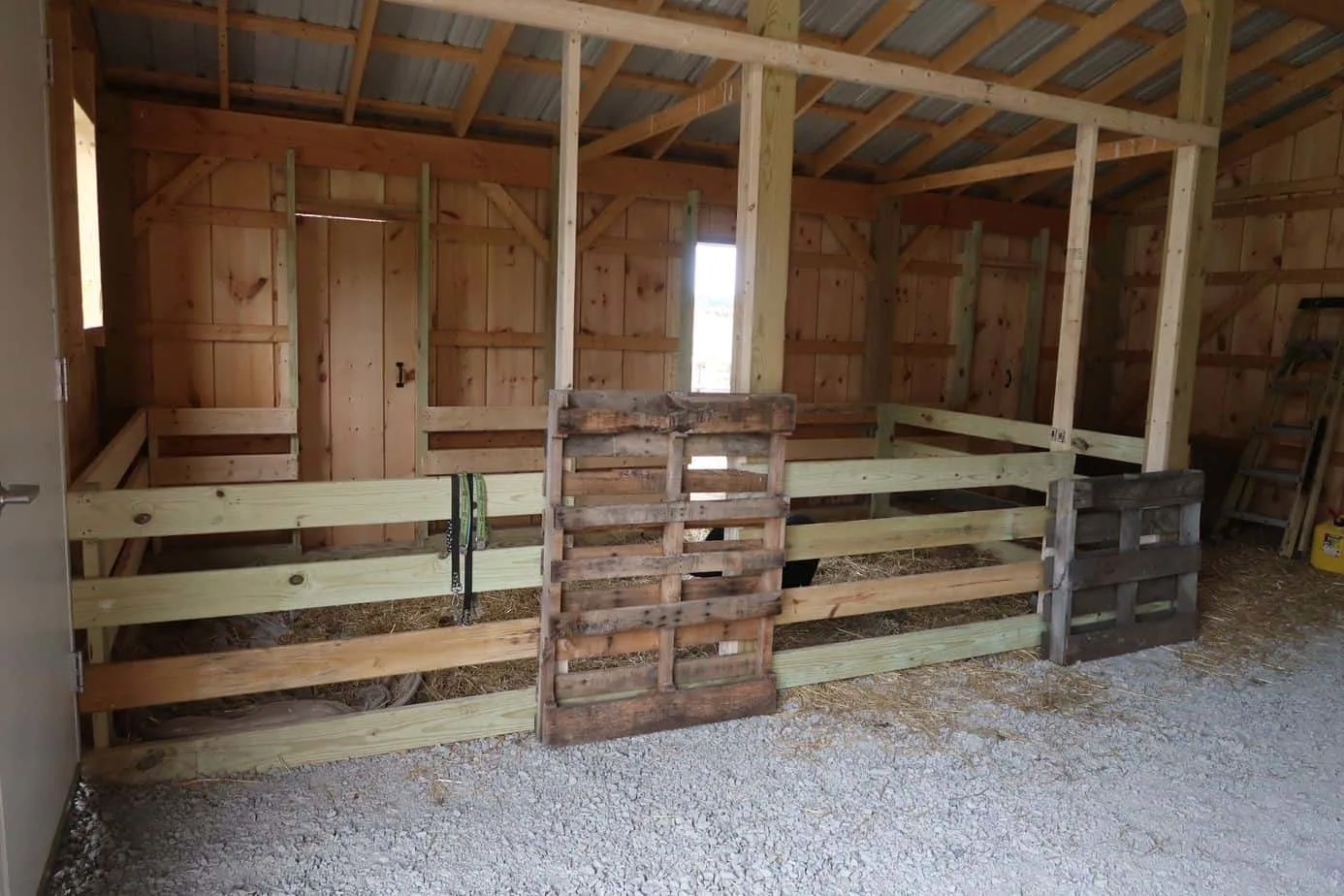 pig fence inside the barn 