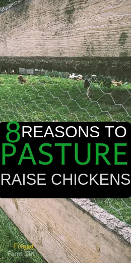 benefits of pasture raising chickens