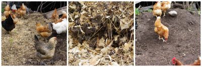 compost pile 3 easy steps