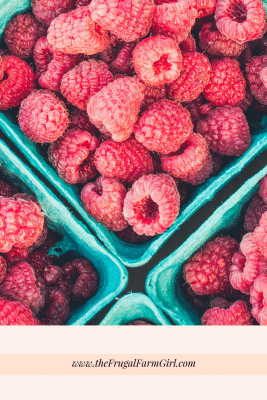 growing raspberries