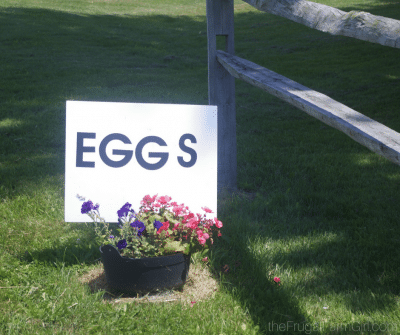 6 Fun Tips to Sell Eggs From Your Home