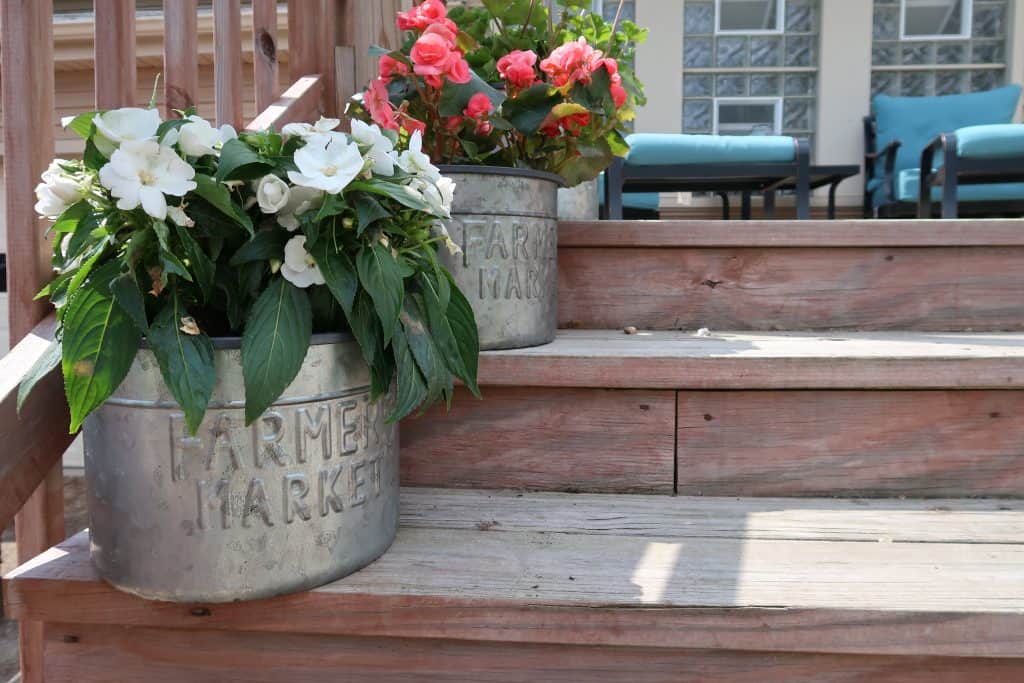 how to landscape cheap with potted plants