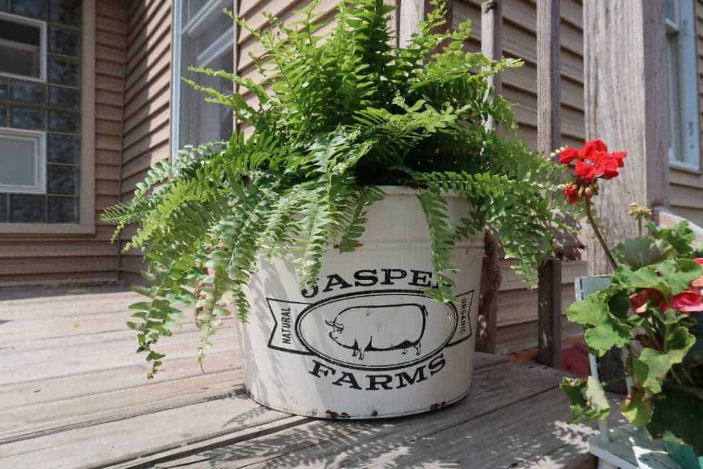 Tractor Supply Farmhouse Decor Roundup