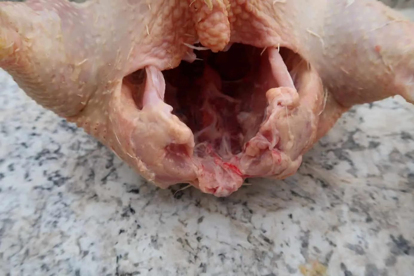 tips and videon on how to gut a chicken