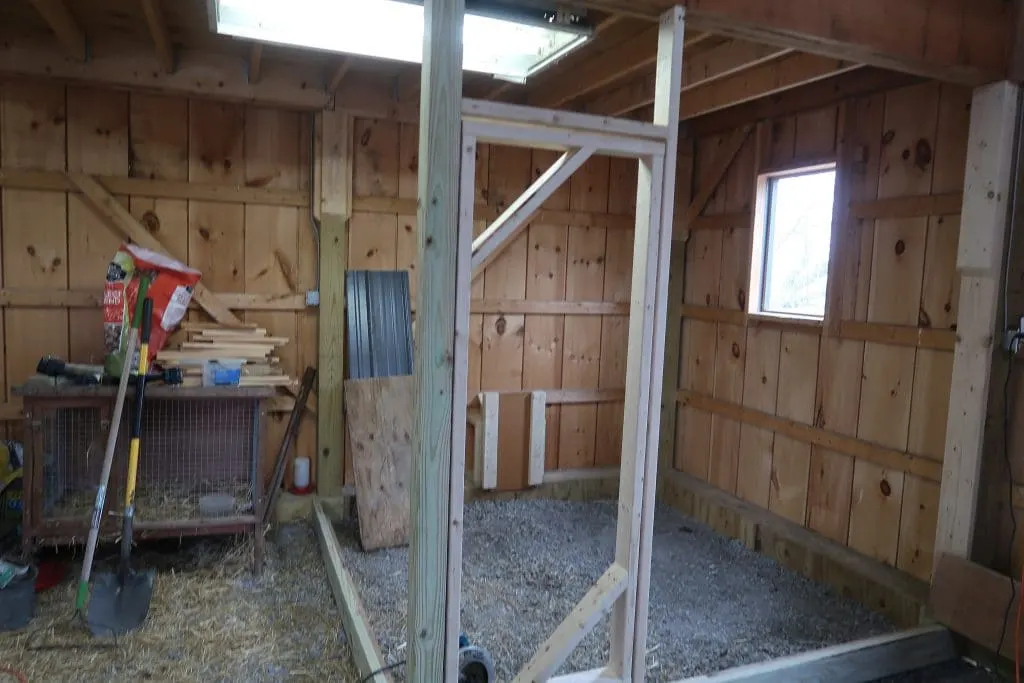 building a chicken coop 12 birds