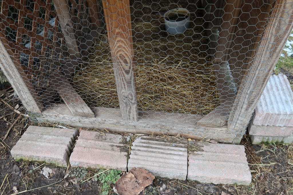 3 Tips For Prepping the Ground of a Chicken Coop