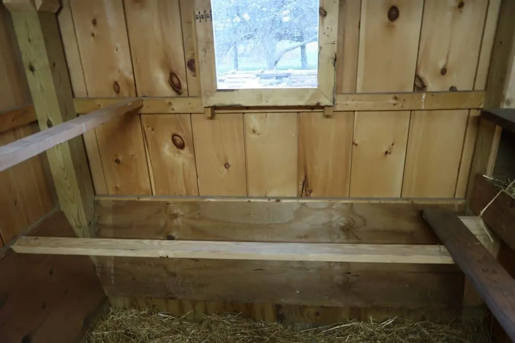 new coop for chickens