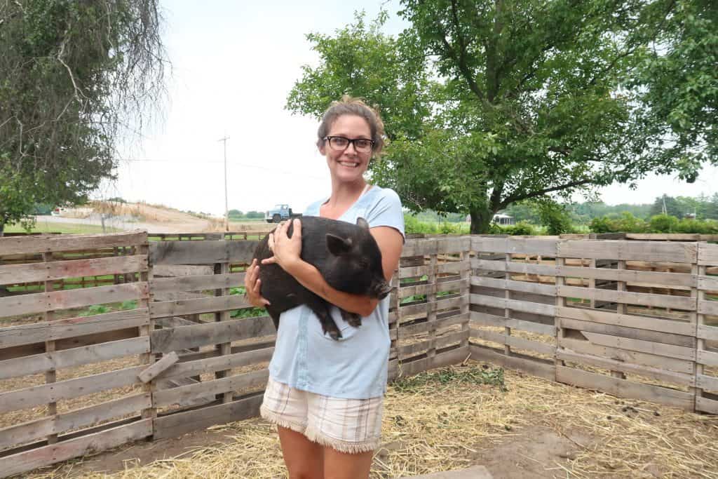 How to Hold a Baby Mini Pig Without Squealing