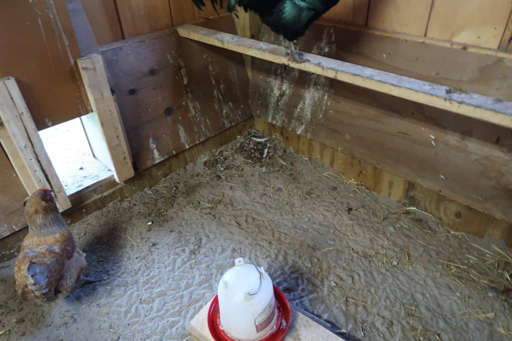 3 Items You Need Now for Your Chicken Coop in Winter