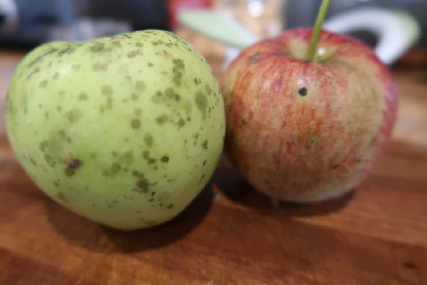How Dried Apples Taste & Turn out in The Ninja Foodi