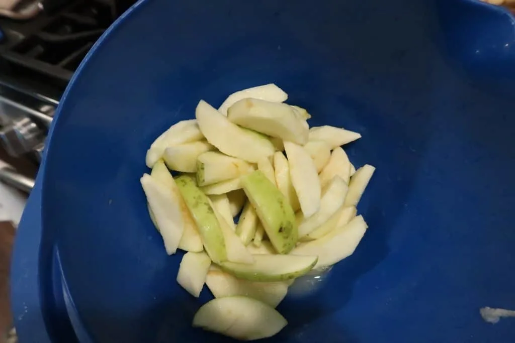 How Dried Apples Taste & Turn out in The Ninja Foodi
