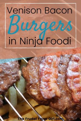 venison burgers in ninja foodi