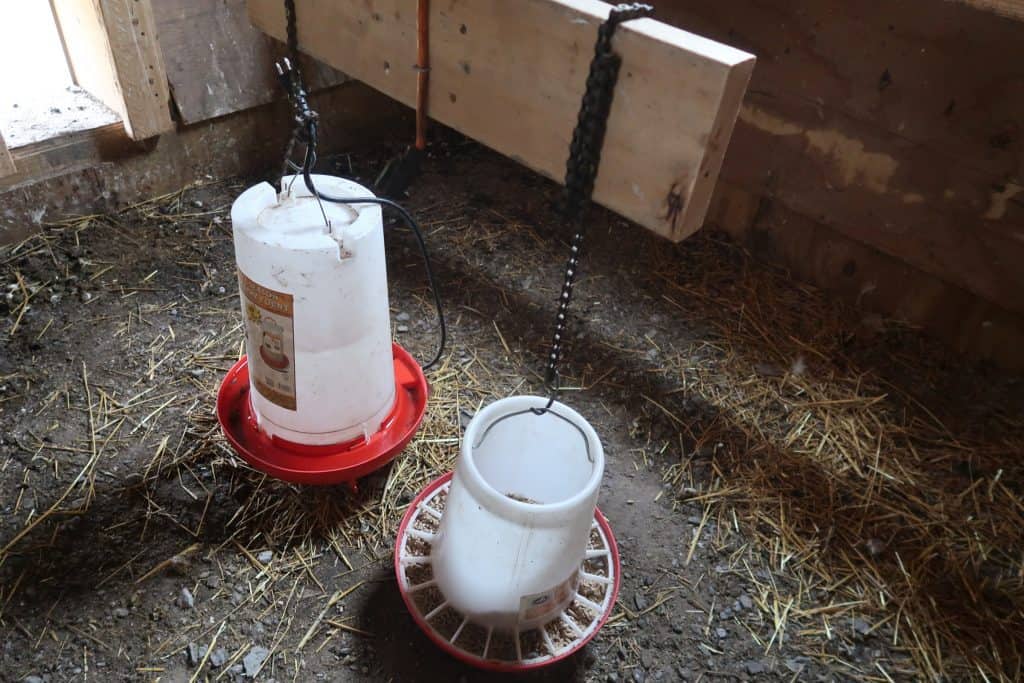 6 Tips To Clean The Chicken Coop in 10 mins or less