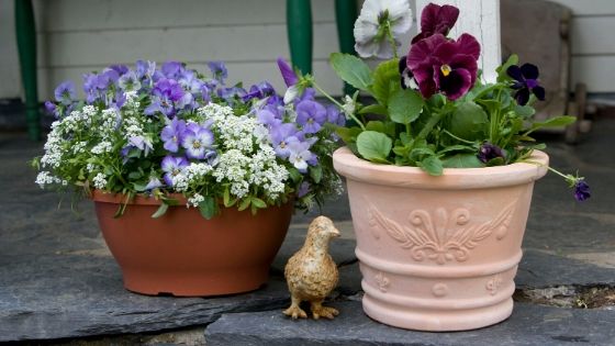 The Benefits of Container Gardening