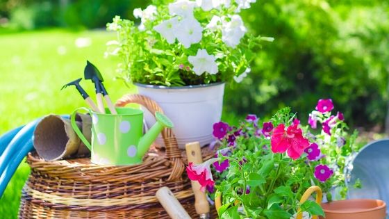 6 Reasons Container Gardening is the Best Way to Grow Plants