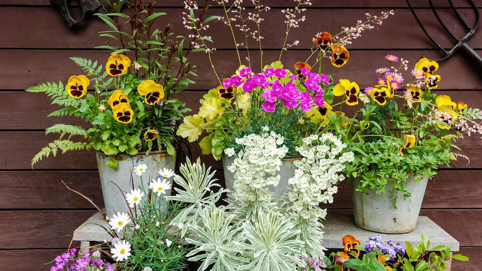 best spot for container gardening
