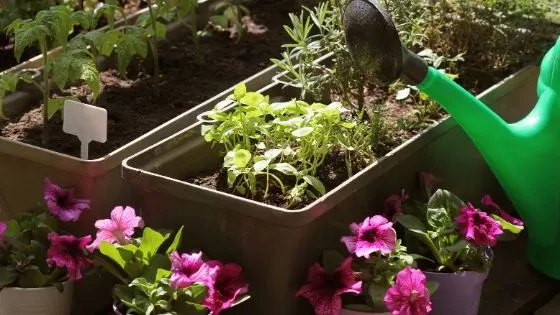 best material for container gardening