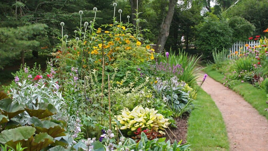 How to Use Perennial Vegetables as a Landscape