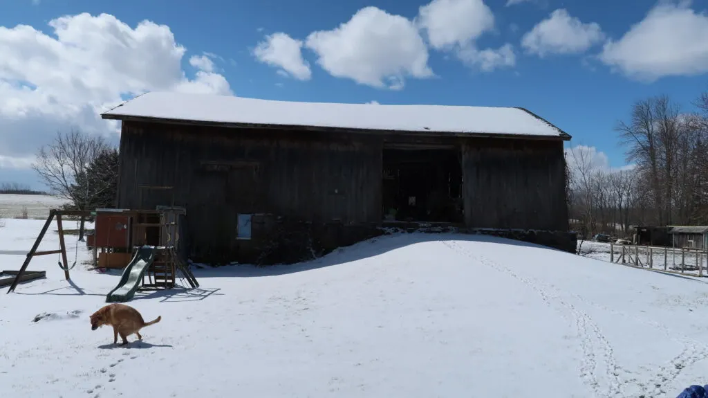 a 100 year old barn 