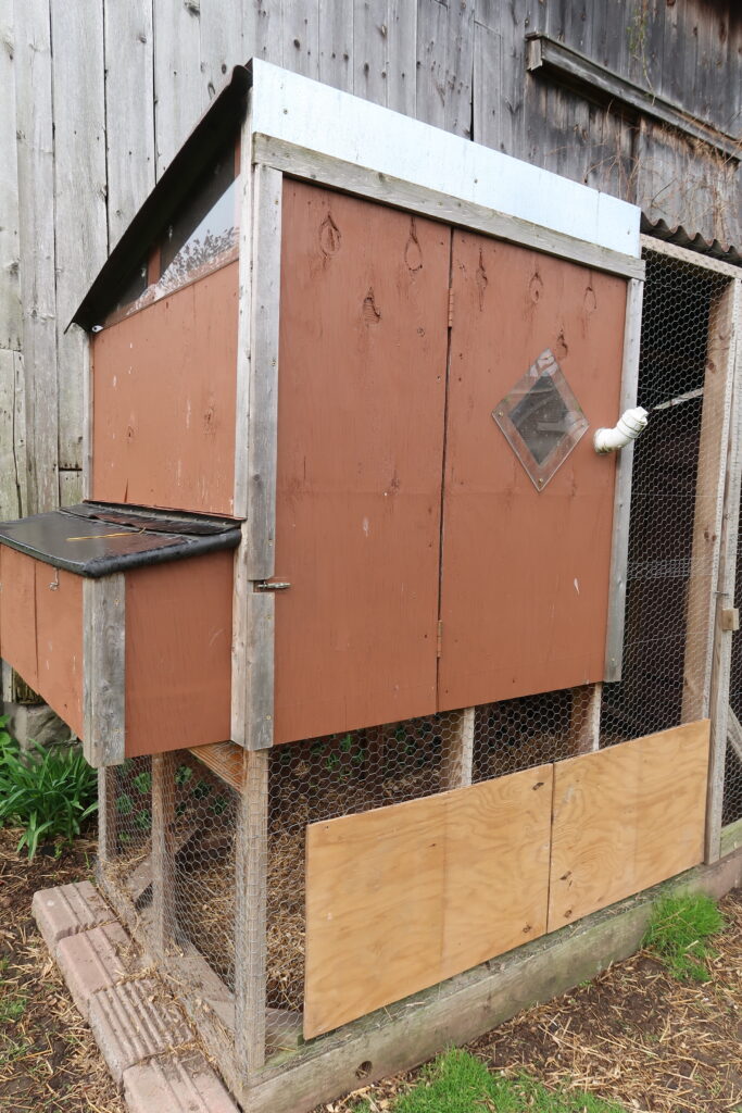 Building Chicken Coops the Easy Way