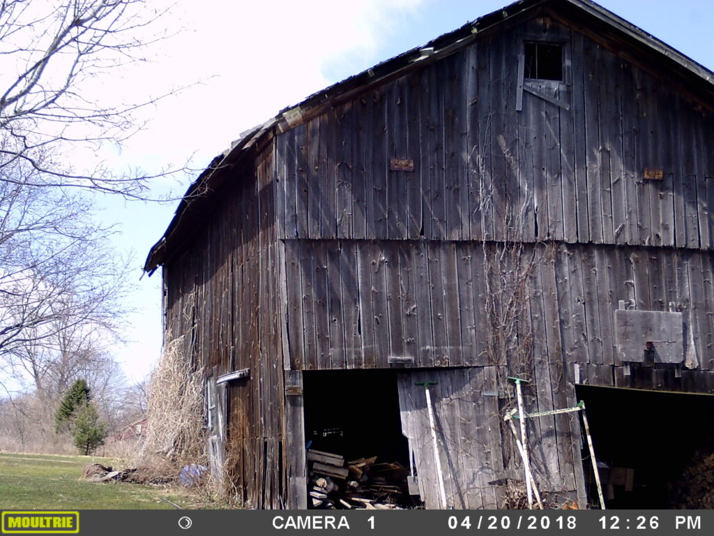 a 100+ year old barn 
