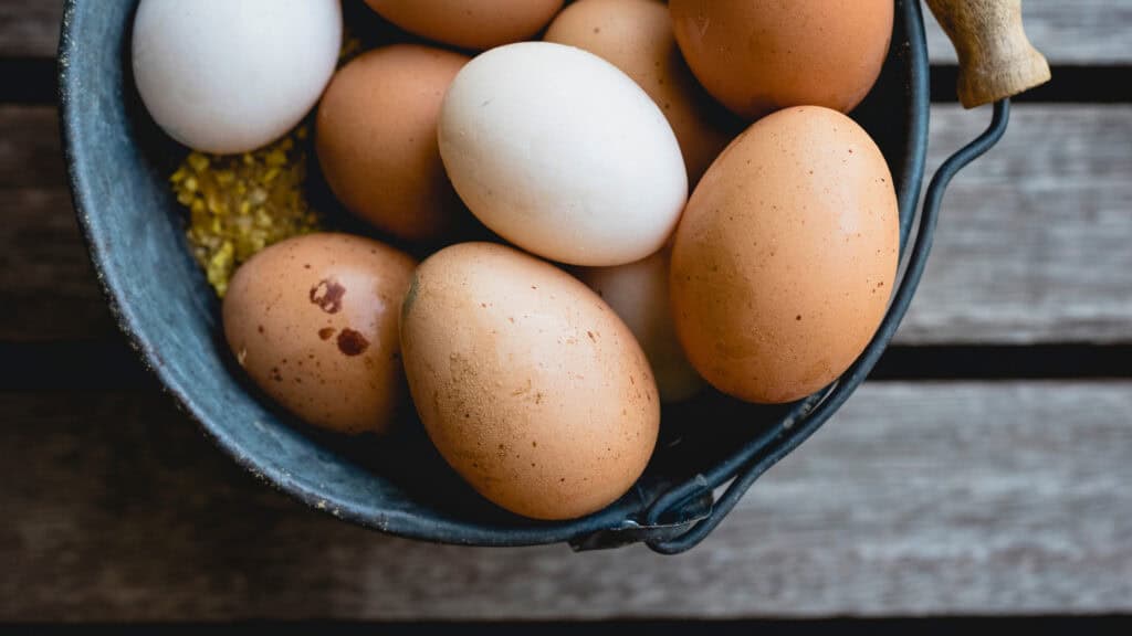 How to Care for Chickens When Away on Vacation