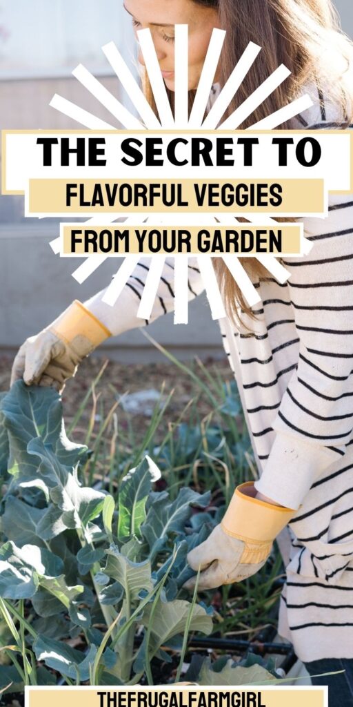 How to Avoid Bland Tasting Food In Your Garden