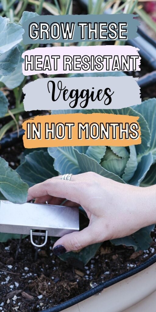 Heat Resistant Vegetables You Can Grow in Hot Summer Months