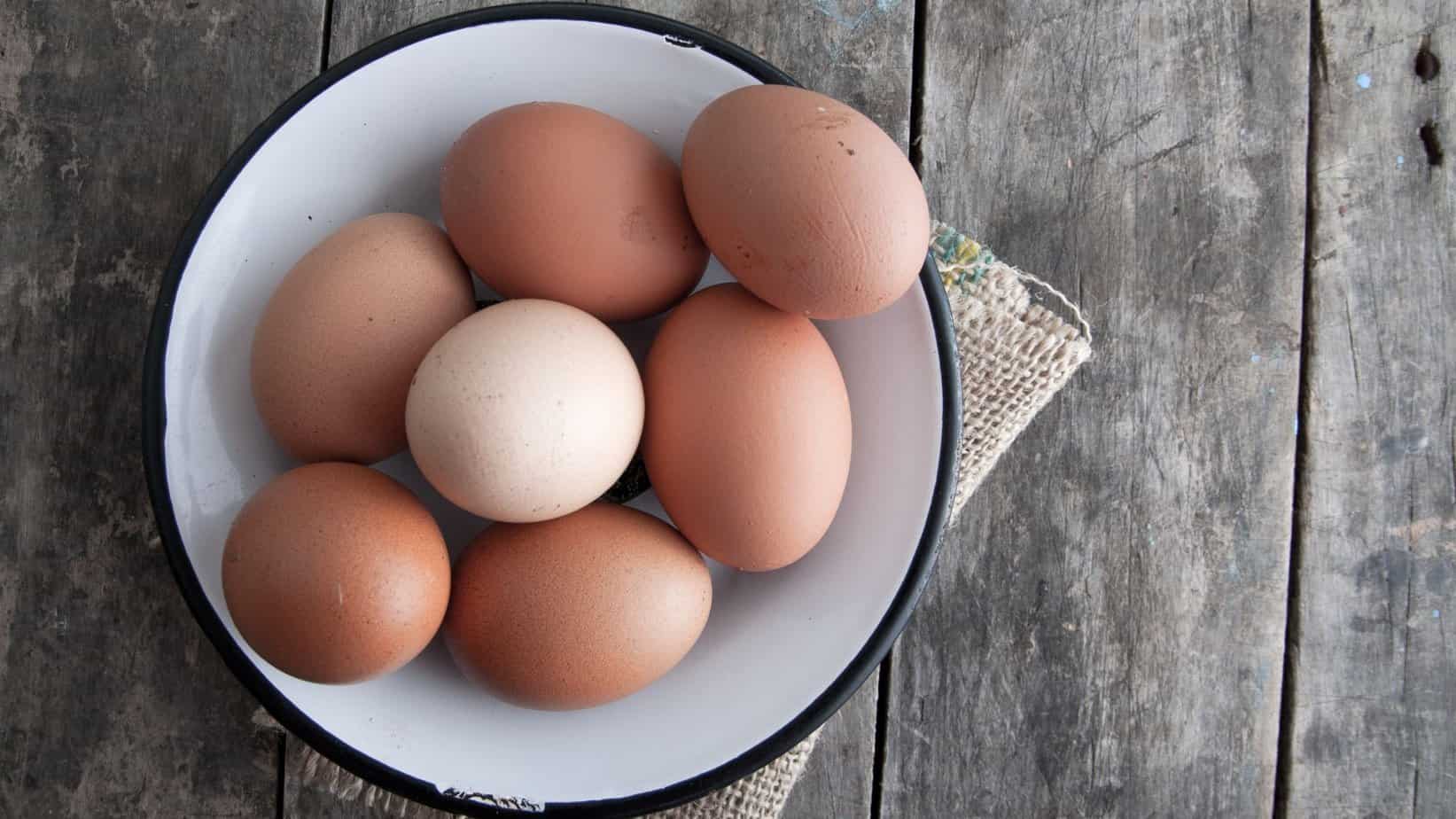 Fresh farm eggs in a white bowl on rustic wooden table, organic backyard poultry eggs for healthy living, farm-to-table eggs.