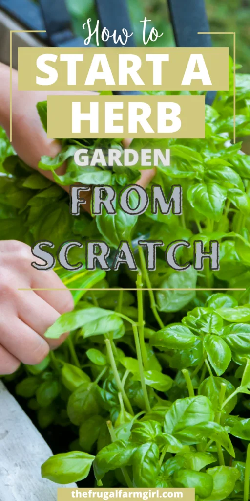 How to Plant Your Herb Garden