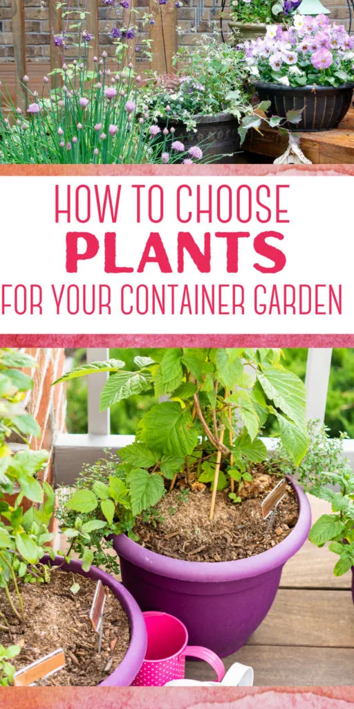 How to Choose Plants for Your Container Garden