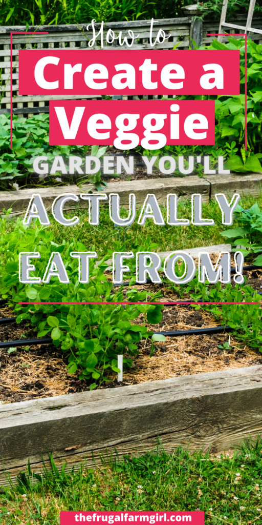 How to Create a Vegetable Garden in your Backyard