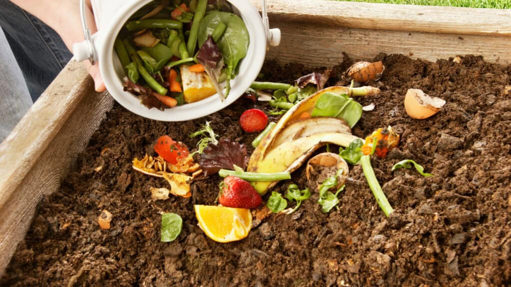 How to Start Homesteading on a Budget