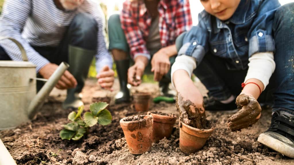 How to Start Homesteading on a Budget