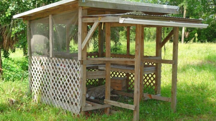 30 Ways to Make Money on a Small Homestead