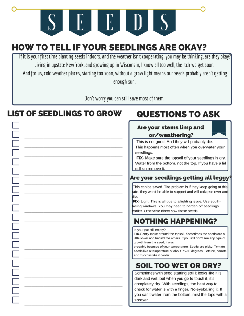 5 Cheap Ways to Grow Seeds Indoors