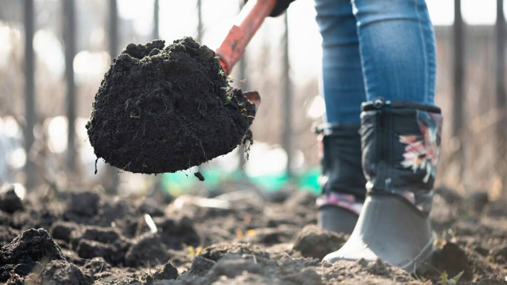 How to Choose the Best Outdoor Container Garden Location