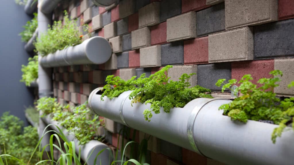 How to Choose the Best Outdoor Container Garden Location
