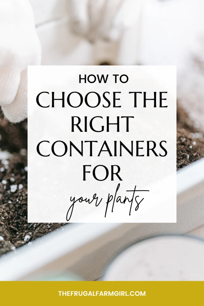 How to Choose The Best Containers for Your Garden