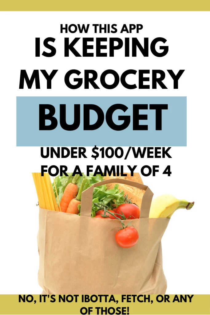 flashfood app keeping low grocery budget 