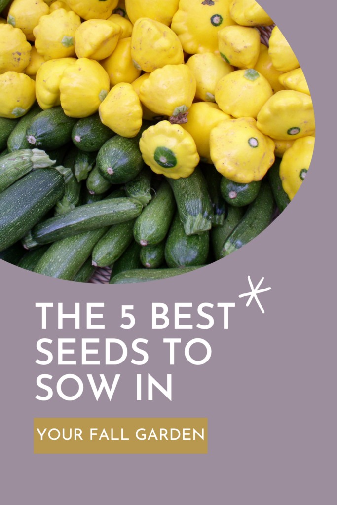 5 Easy Plants to Grow From Seed for Fall Harvest