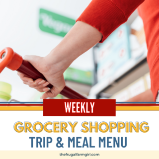 my weekly grocery trip this week and meal menu