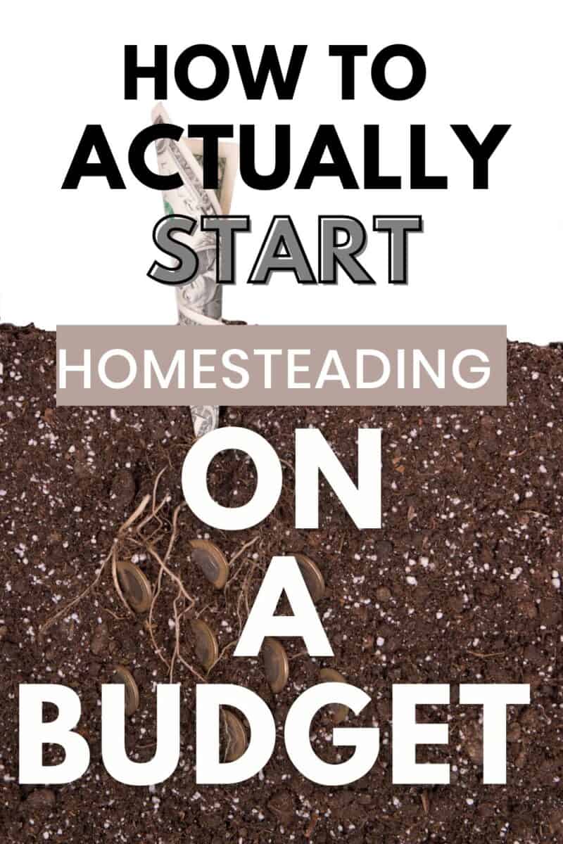 How to Start a Homestead with Little Money