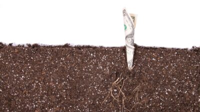 homesteading with little money