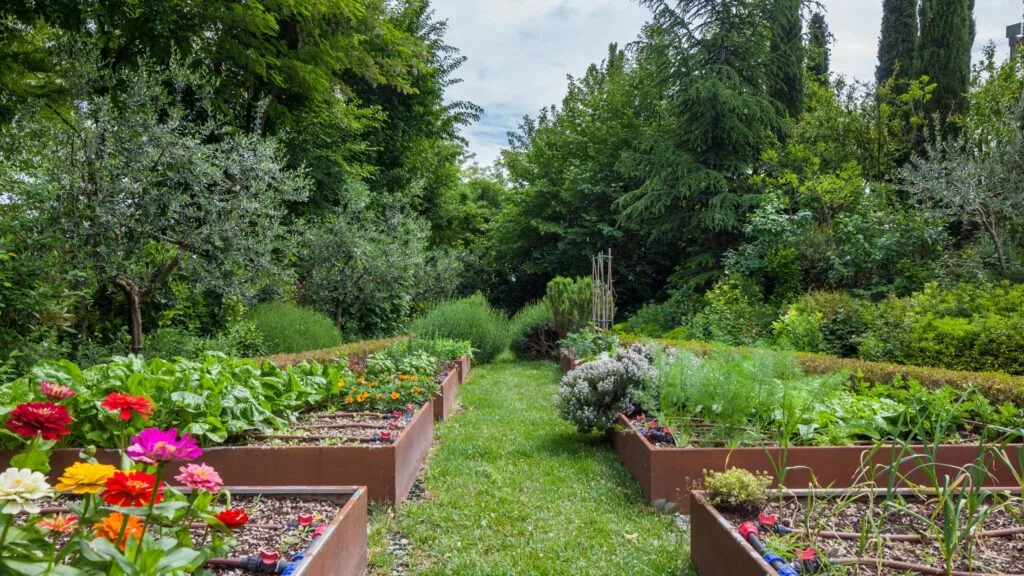 How to Start Vegetable Gardening for Beginners