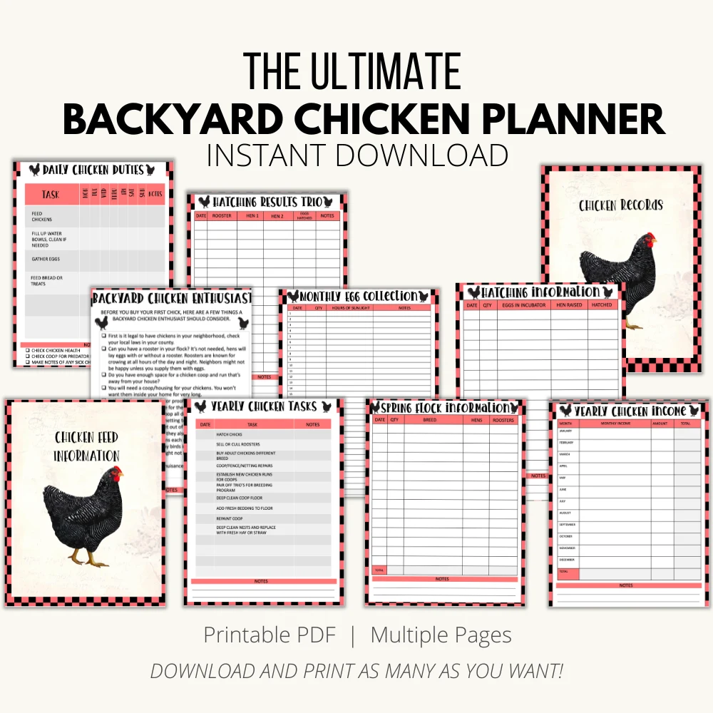 backyard chicken planner