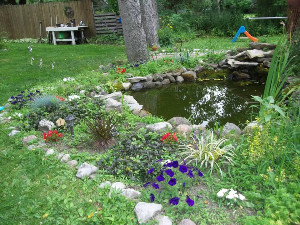 our cheap backyard pond water feature 