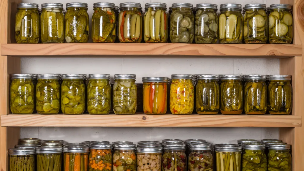 Best Products for Food Preservation & Storage